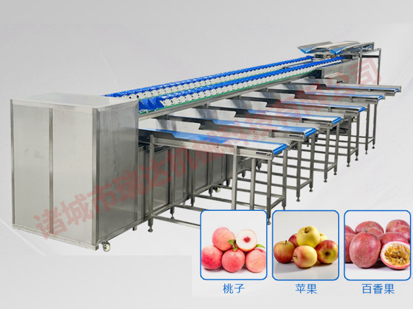 瓜果類稱重分選機(jī)